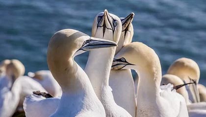 区块链到底通过什么方式赚钱的？