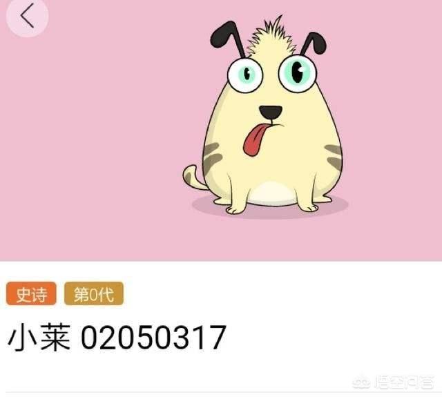 区块链如此火热<strong></p>
<p>以太坊中国</strong>，国内有哪些？
