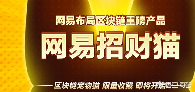 现在国内可以玩的区块链游戏有哪些<strong></p>
<p>以太坊中国</strong>？