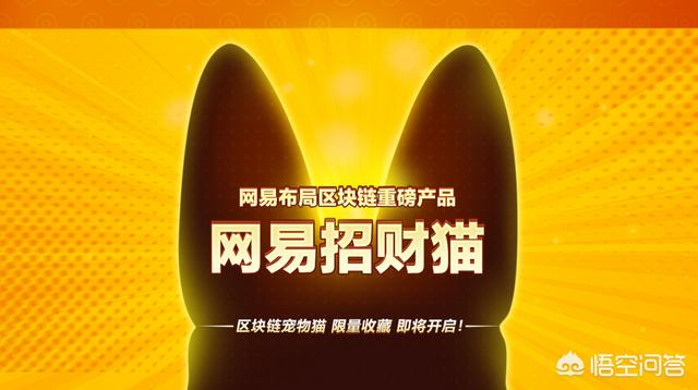 区块链养猫游戏CryptoKitties获A轮融资<strong></p>
<p>区块链eth</strong>，「以太猫」会像比特币一样火爆吗？