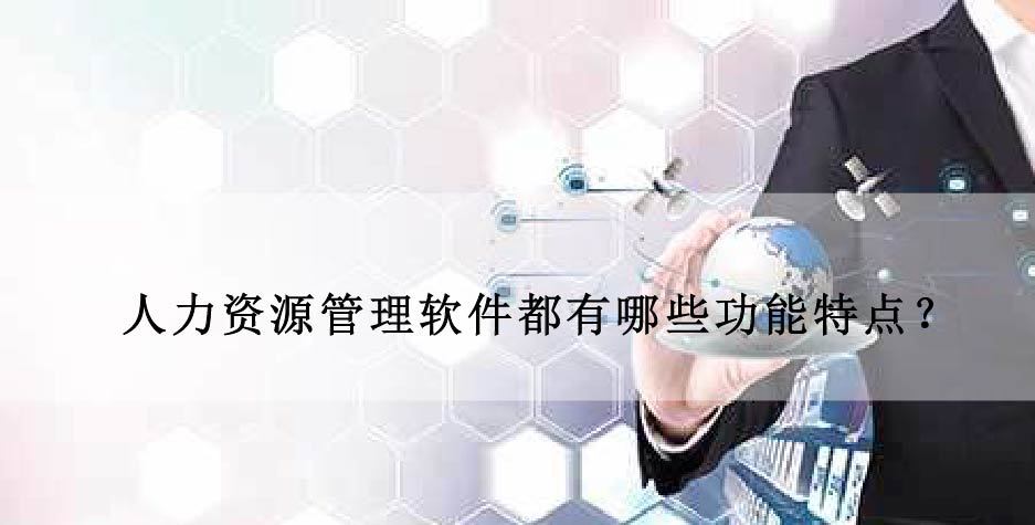 软件的优点(自行开发会计软件的优点)