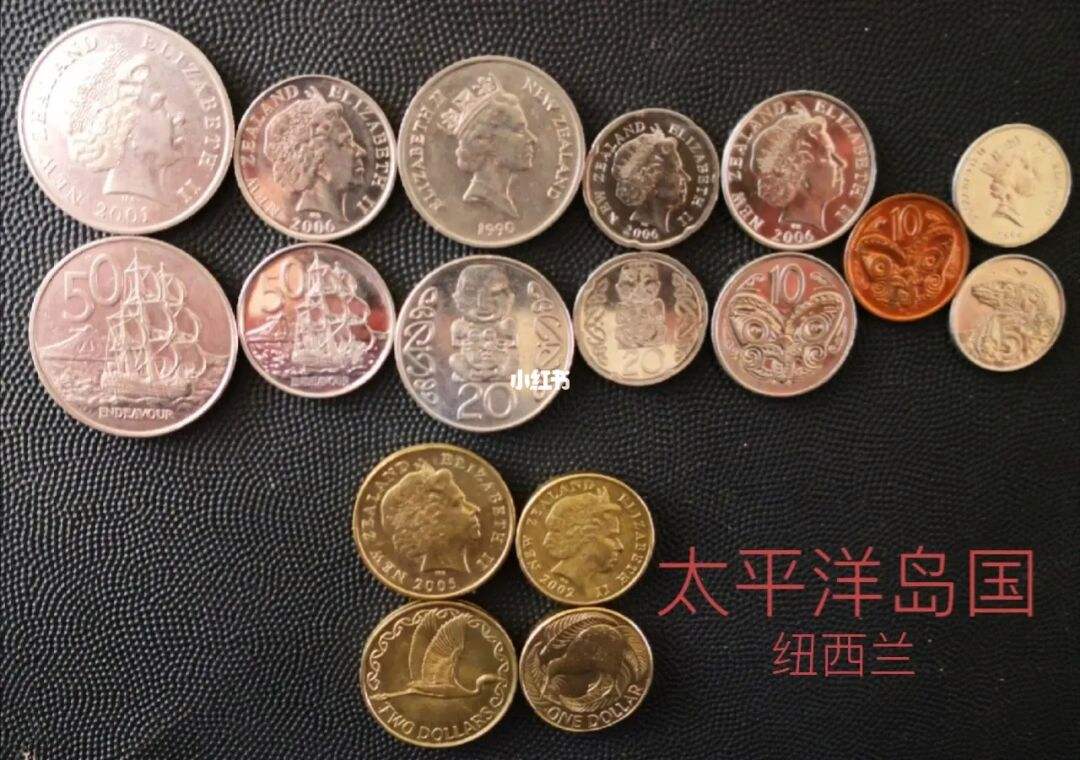 一国多币(一国多币的国家)