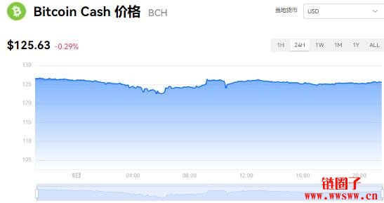 bch币(bch币值得长期持有吗)