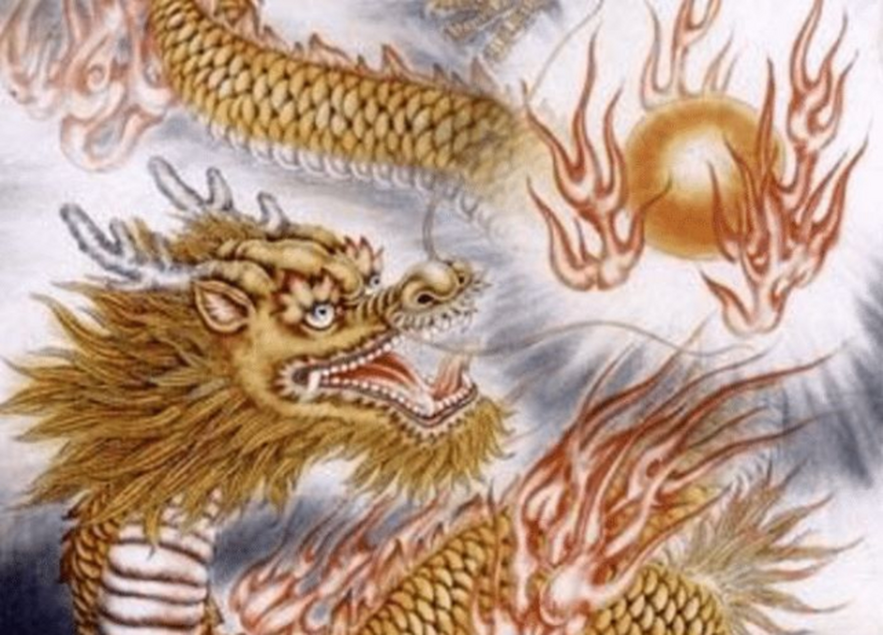 龙财富理财(龙财富是哪个银行产品)