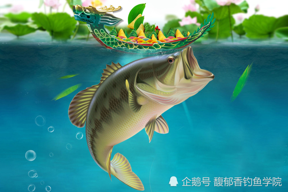 阿鱼理财(阿鱼的vlog)