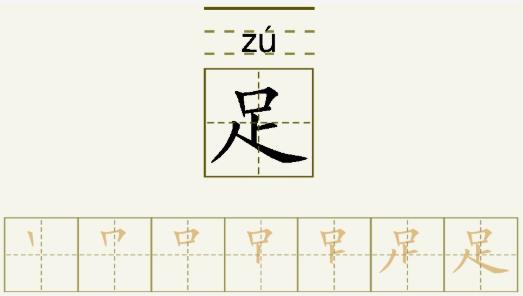 理财的笔顺(理财的简笔画)