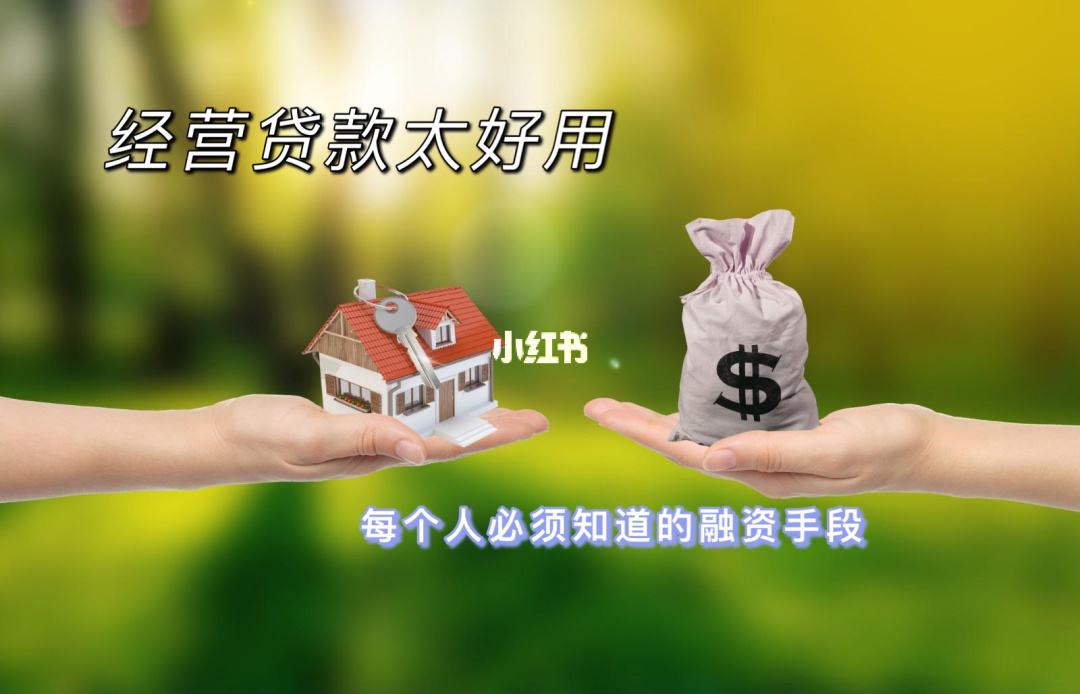 想贷款理财(贷款 理财产品)
