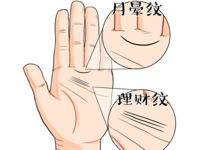 理财纹起点(理财纹图片大全)