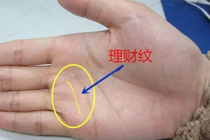 理财纹起点(理财纹图片大全)