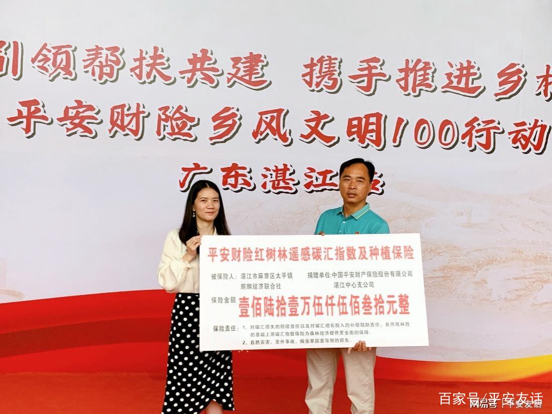 湛江理财险(湛江有什么保险公司)