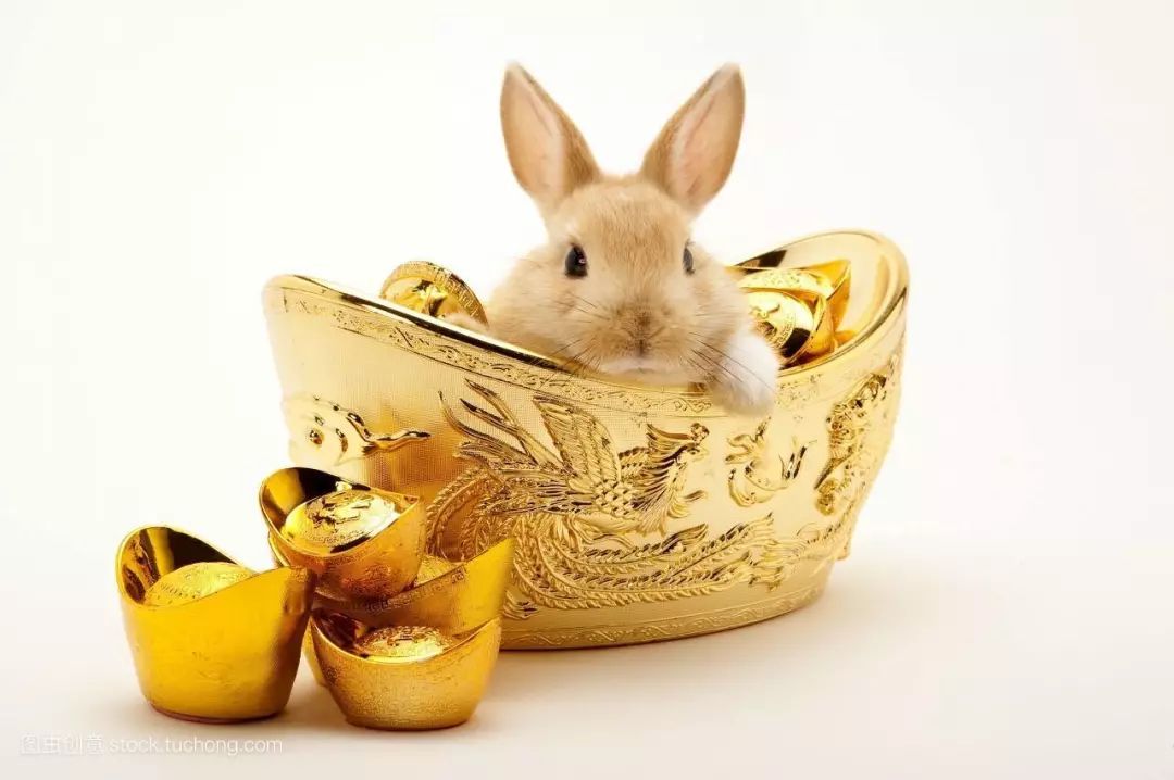 理财和发财(理财发财的话)