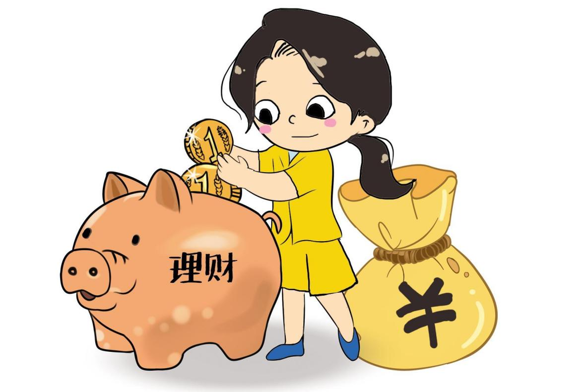 国家理财学(国家理财规划)