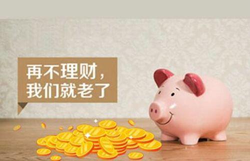 优理财投资(理财优享型是什么意思)