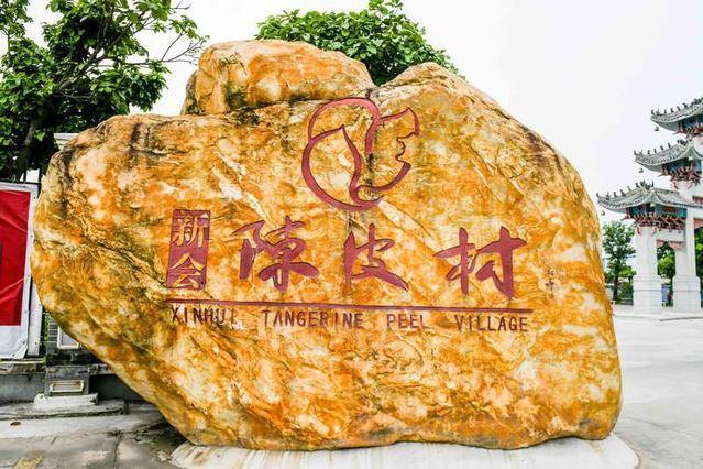 陈皮村理财(陈皮村百度百科)