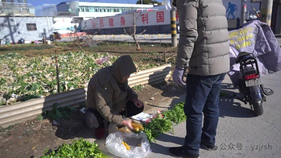 理财课骗骗(理财课程骗局的洗脑)