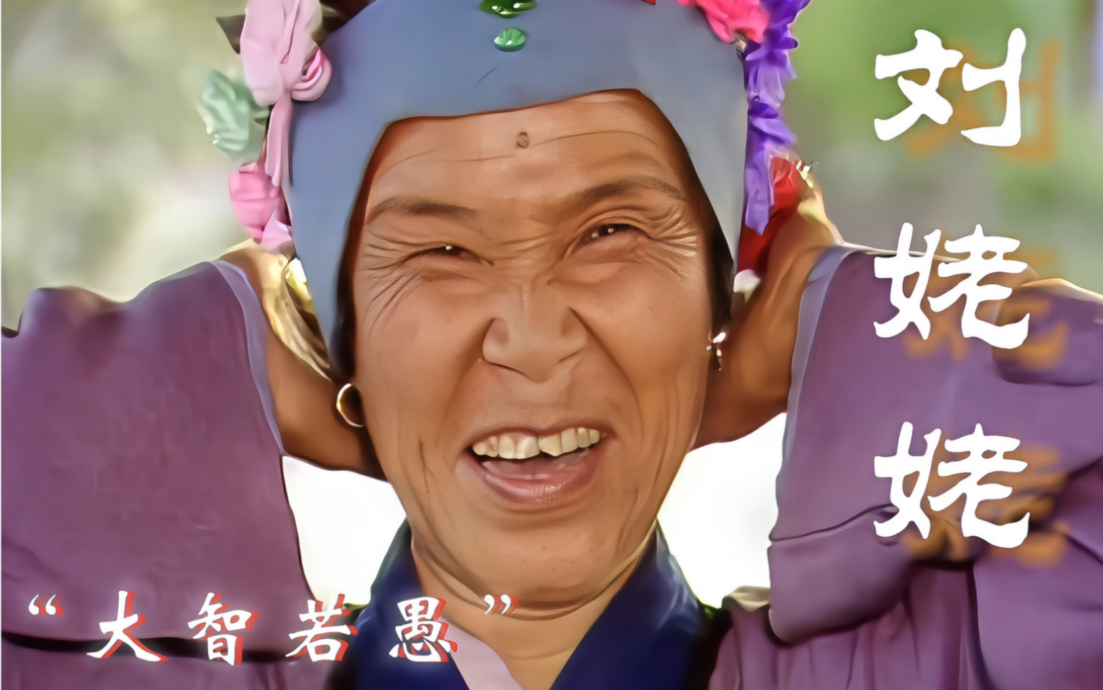 刘姥姥理财(刘姥姥要了多少钱)