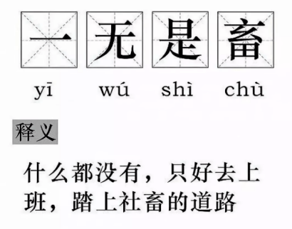 社畜理财(社畜的财务自由计划 pdf)