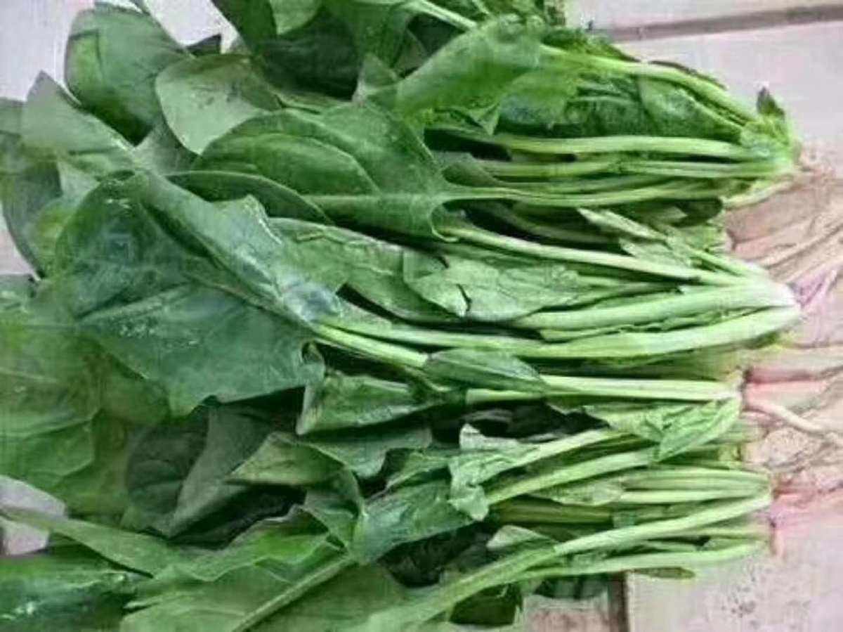 菠菜理财员工(菠菜公司靠什么赚钱)