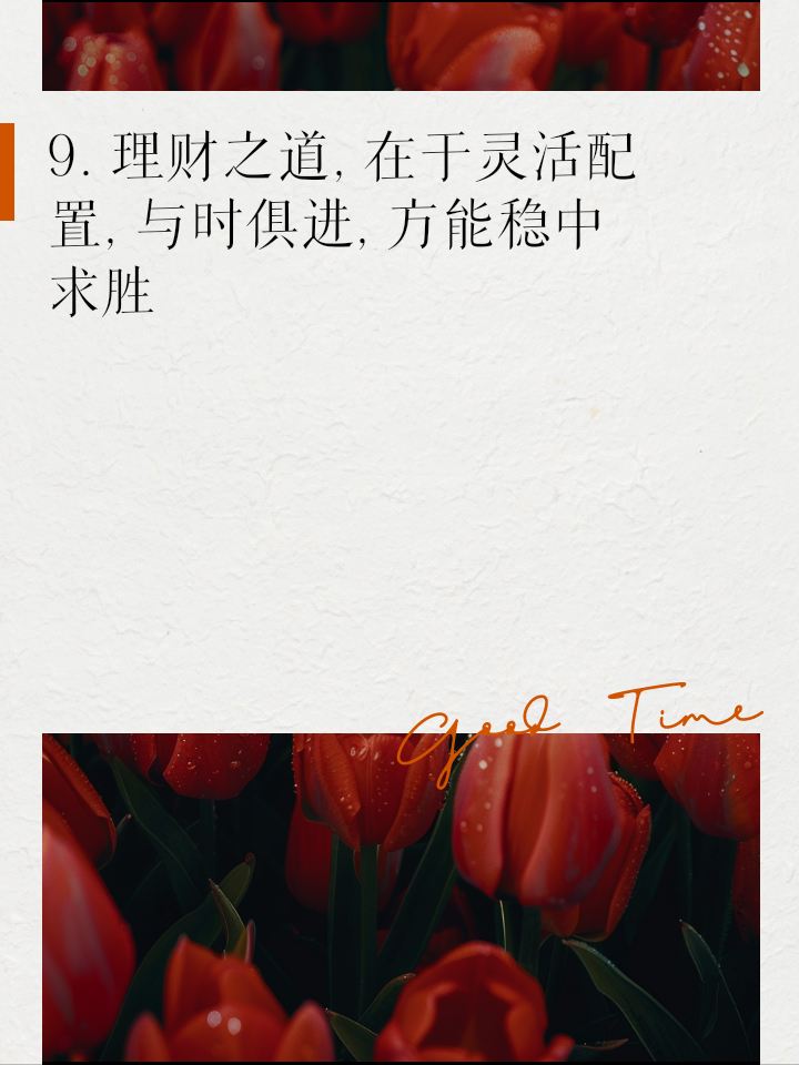 公司理财必备(公司理财必备知识)