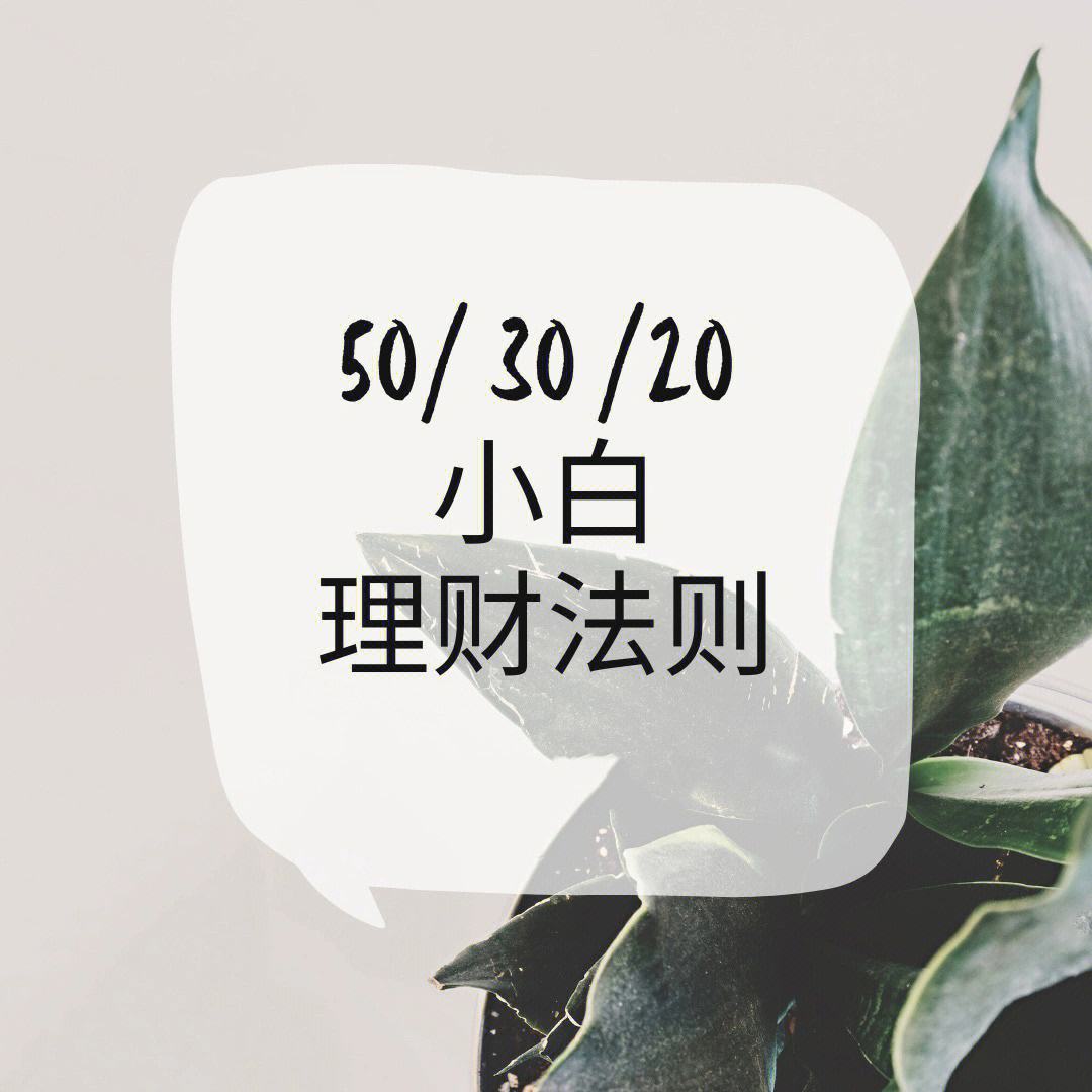 小白理财客(小白理财网站)
