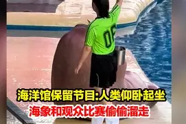 海象理财暴雷(海象理财还有希望吗)