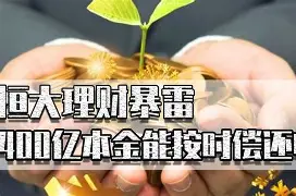 海象理财暴雷(海象理财是哪个公司的)
