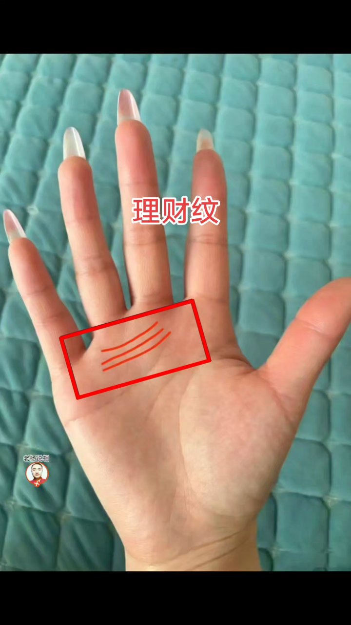 理财者特征(理财的三大特点)