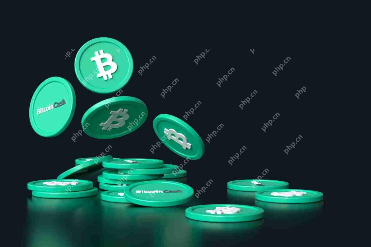 BCH交易官网(bhbank交易所官网)