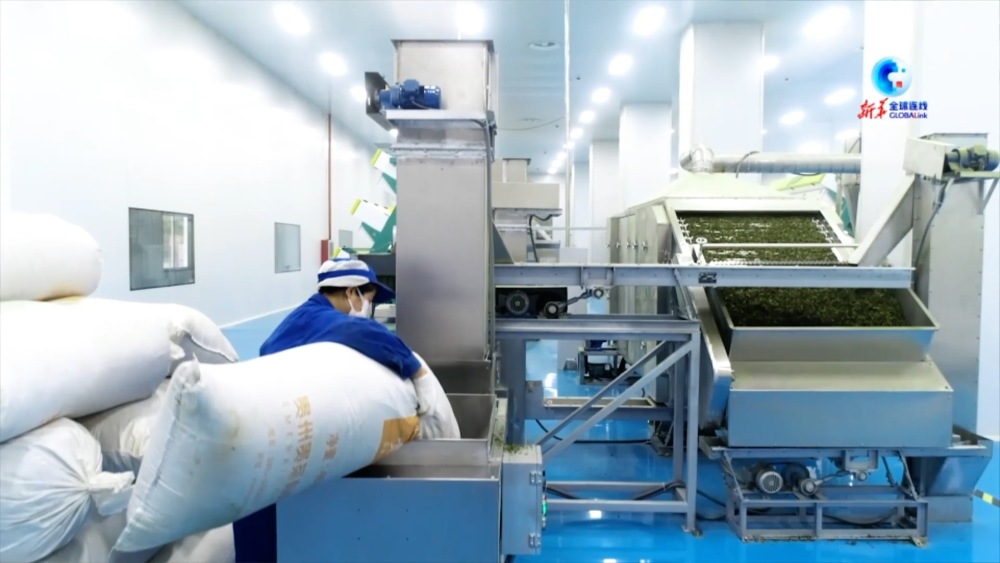 抹茶交易平台(抹茶交易平台怎么下载)