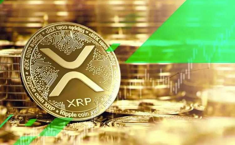 XRP交易所投资(xrp币的前景如何?)