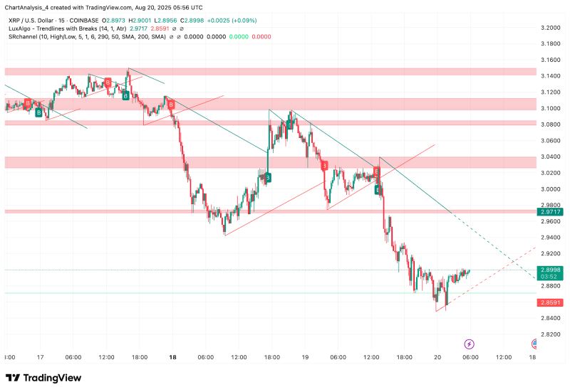 XRP交易平台(xrp币今日行情)