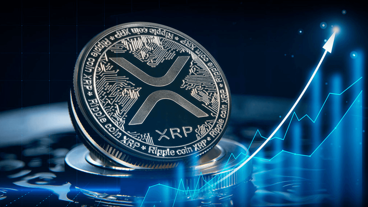 包含XRP-瑞波币交易官网的词条