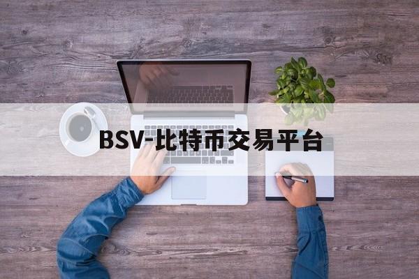 BSV-比特币交易平台的简单介绍