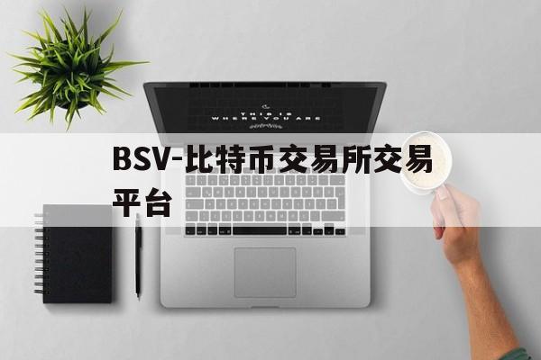 关于BSV-比特币交易所交易平台的信息
